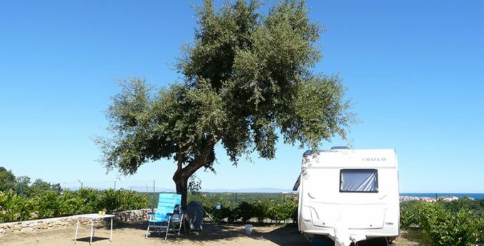 Camping La Coste Rouge Argelès-sur-Mer Emplacements de camping proche de Collioure